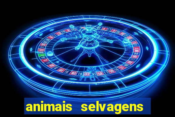 animais selvagens fotos e nomes